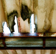 We offer emergency roof repairs in Perth