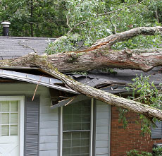 insurance roof repairs perth call steves metal roofing